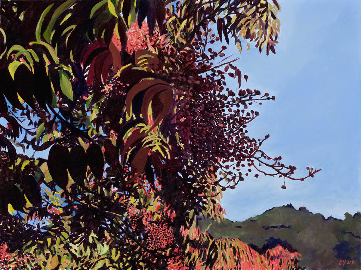 Berries, Hills and Sky  Image: On a walk on the Corte Madera Creek in Kentfield, CA