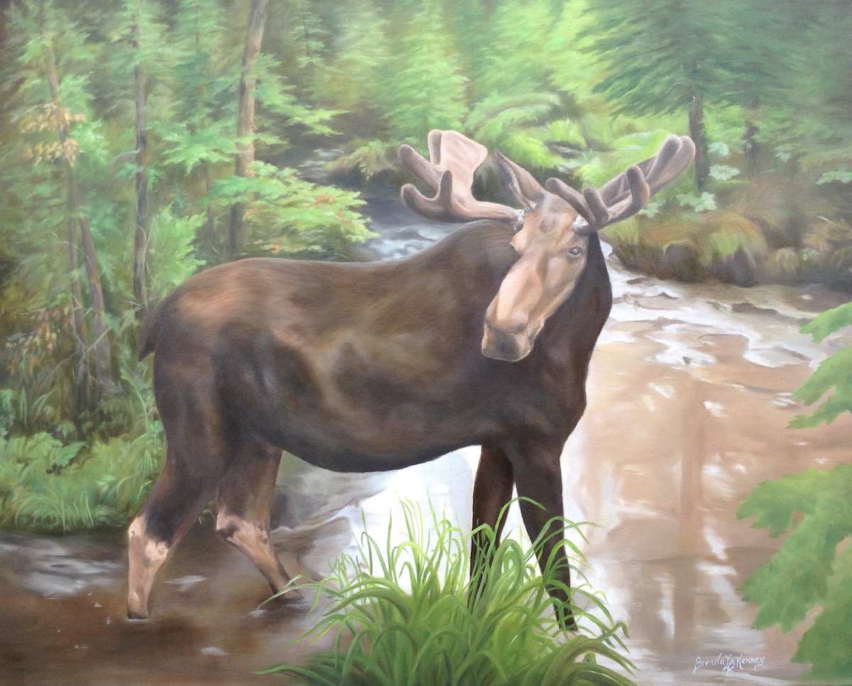 Close Encounter by Brenda L.B. Kenney, Image 1.