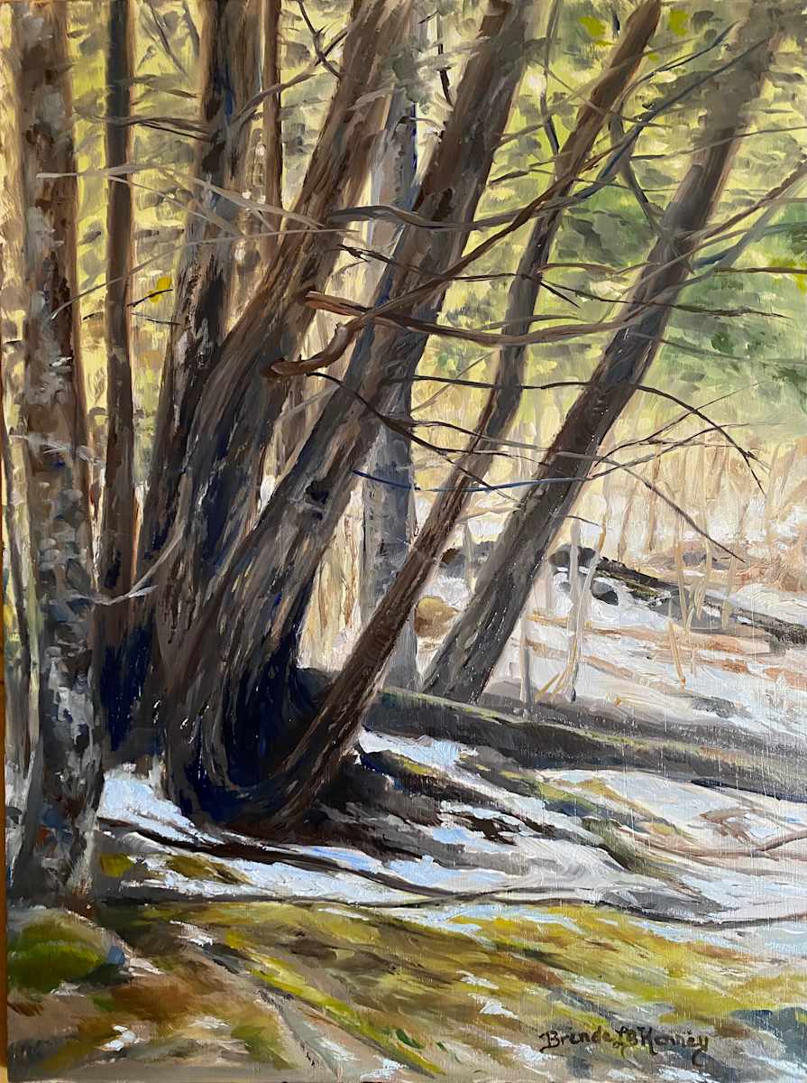 Where The Cedars Grow by Brenda L.B. Kenney 