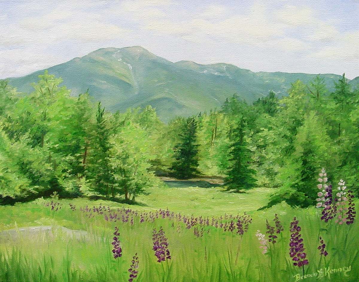 Lupine's View by Brenda L.B. Kenney 