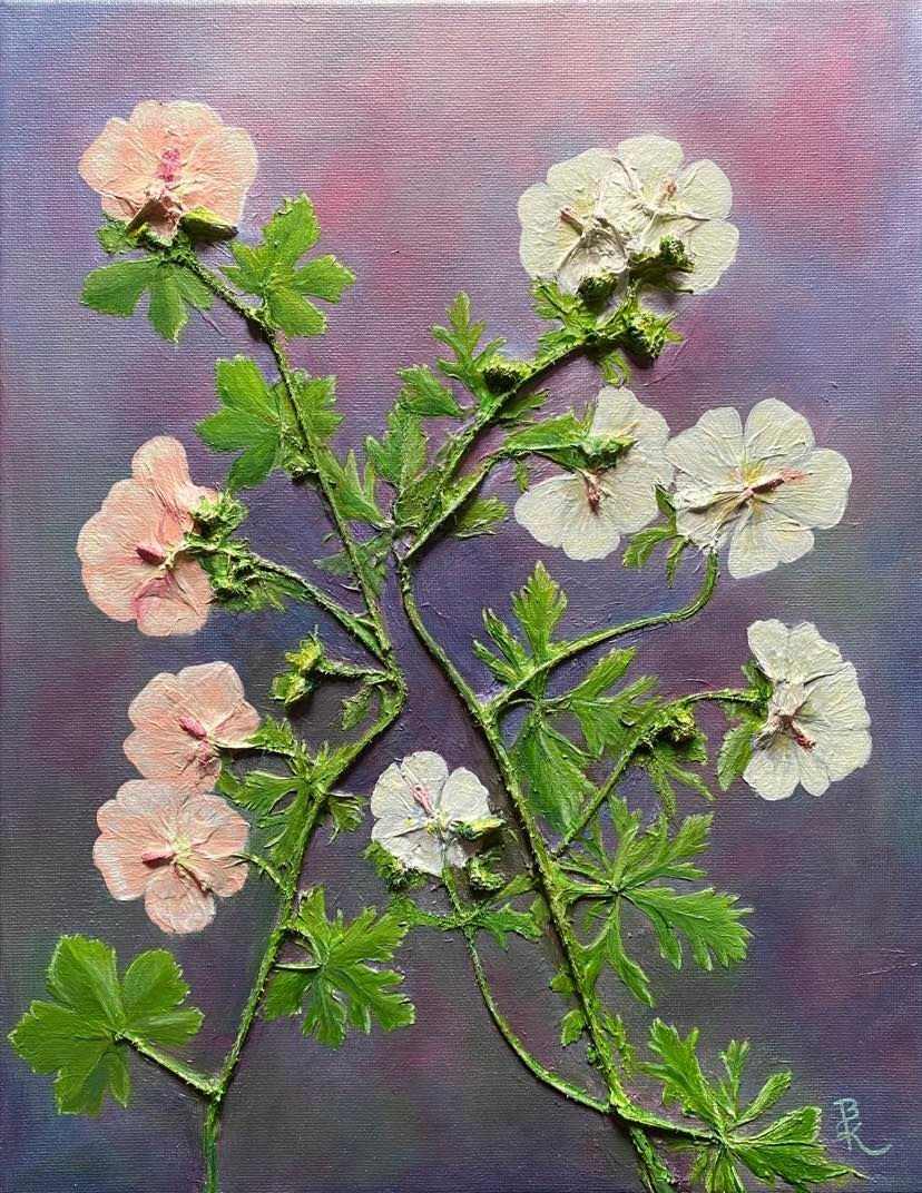 Musk Mallow by Brenda L.B. Kenney, Image 1.