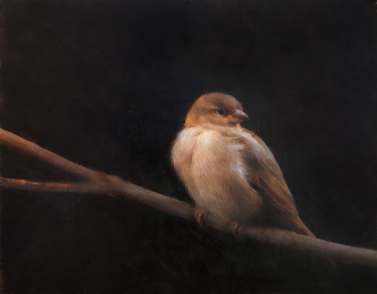 Fat Sparrow by Laura Tundel 