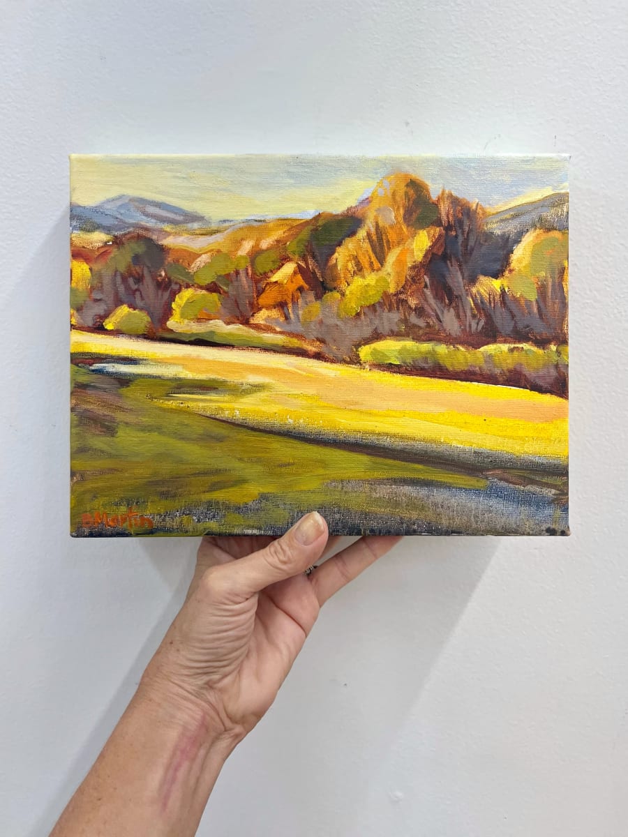 Morning Light by Bridgette Martin Fine Art 