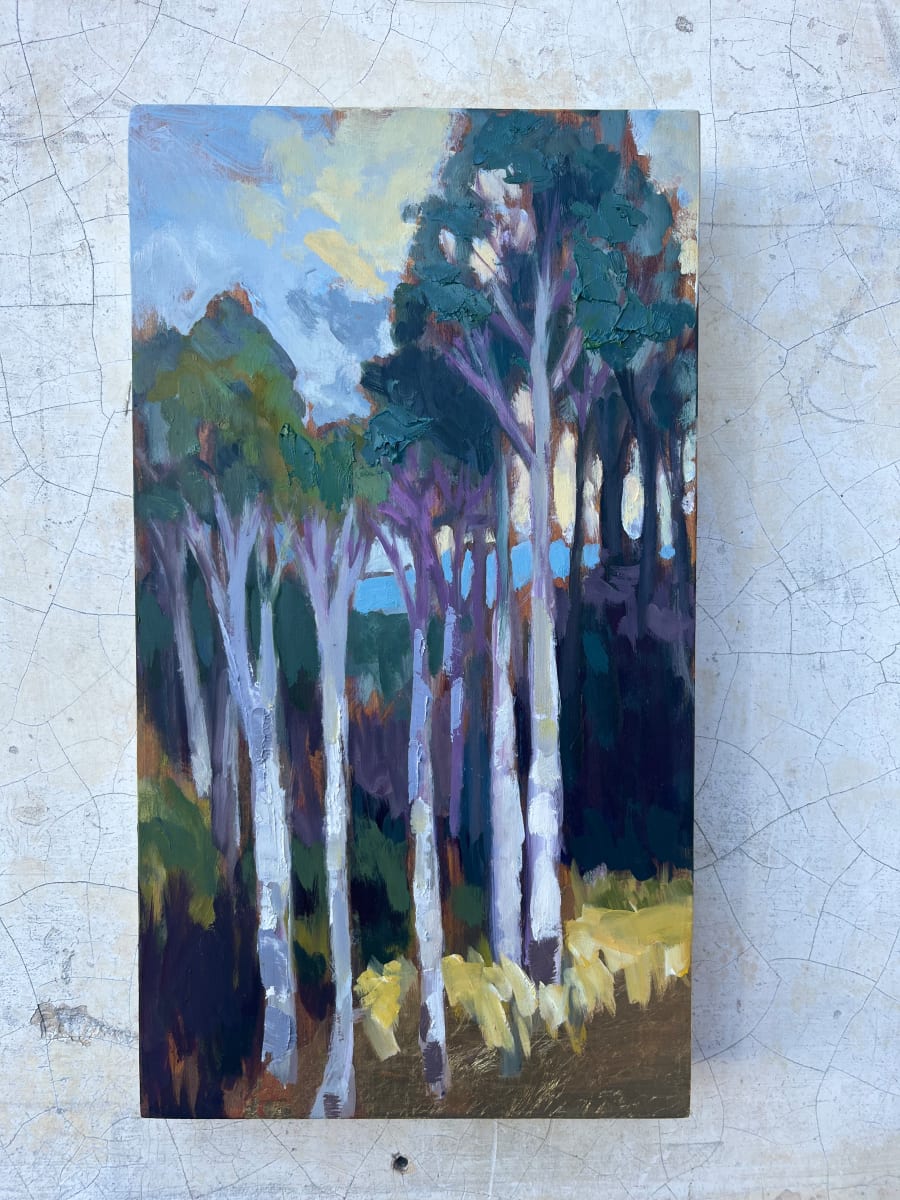 Light Through the Forest by Bridgette Martin Fine Art 