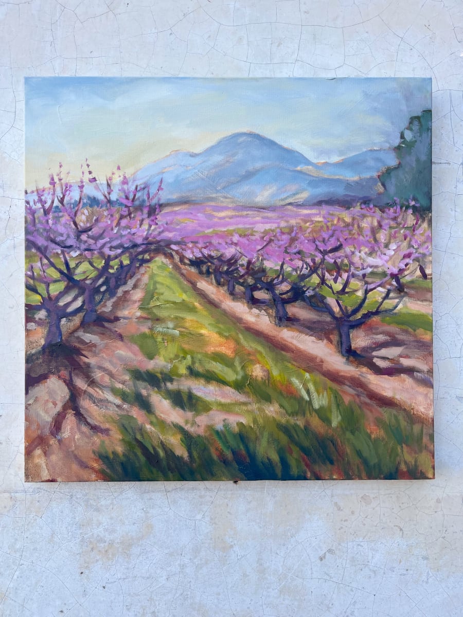 Orchards in Bloom by Bridgette Martin Fine Art 