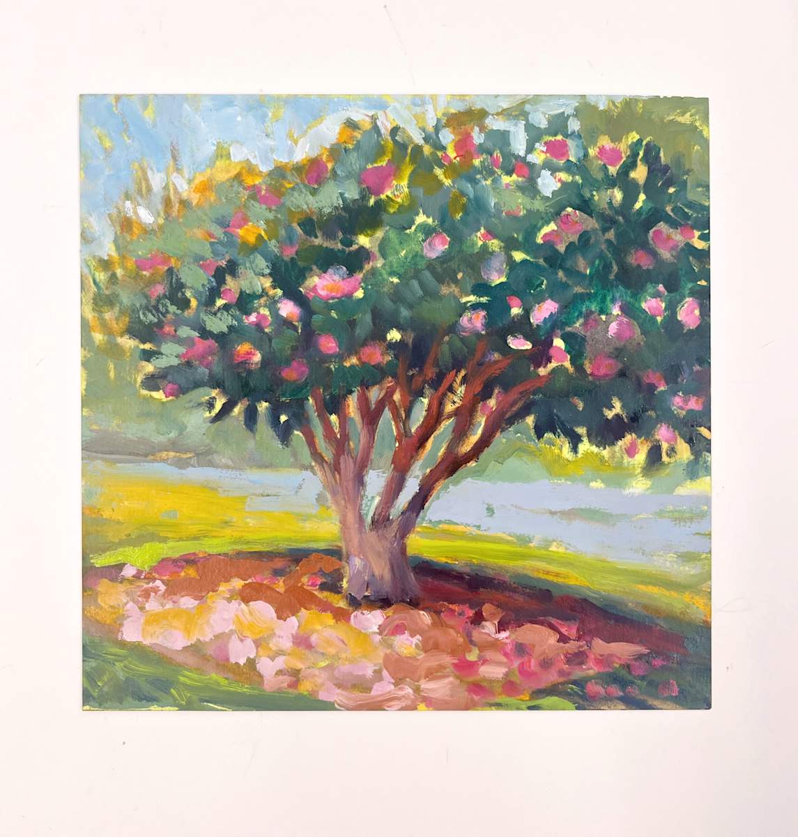 Camelia in bloom by Bridgette Martin Fine Art 