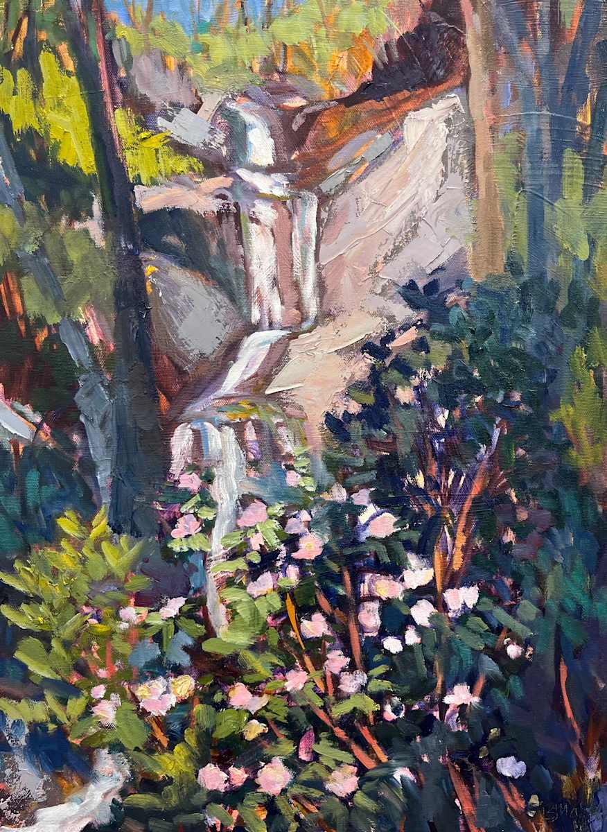 Chasing Waterfalls by Bridgette Martin Fine Art 
