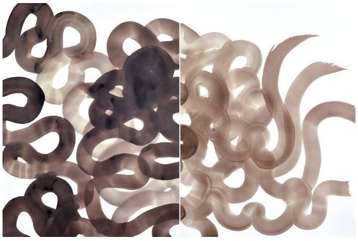 Medusa (Diptych) by Yeachin Tsai 