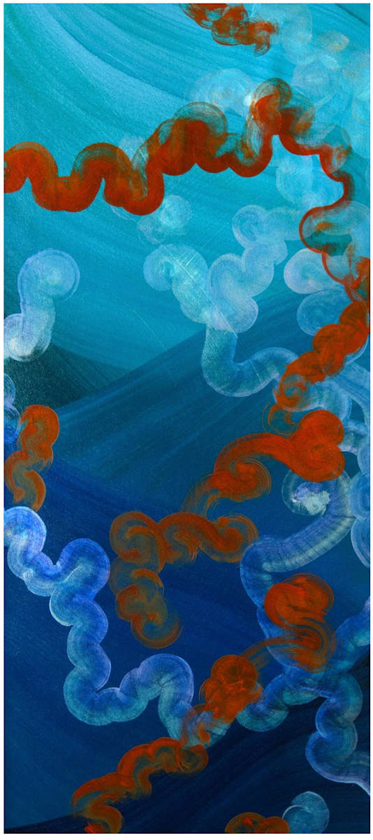 Movement of Jellyfish by Yeachin Tsai 
