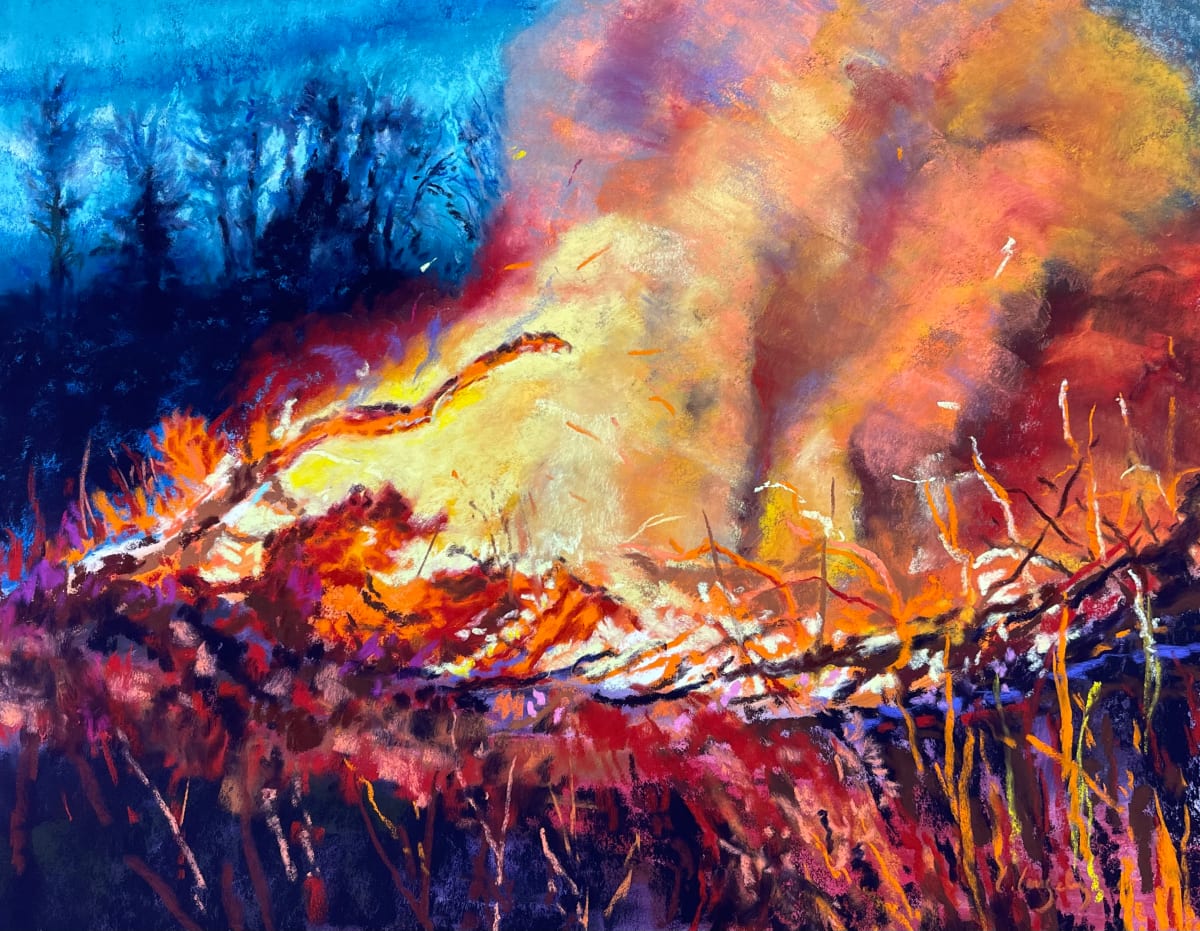 Derecho Bonfire by Laura Lengeling 