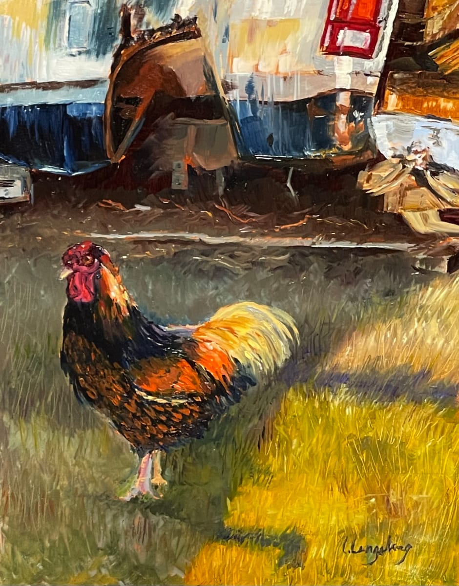 Shady Rooster by Laura Lengeling 
