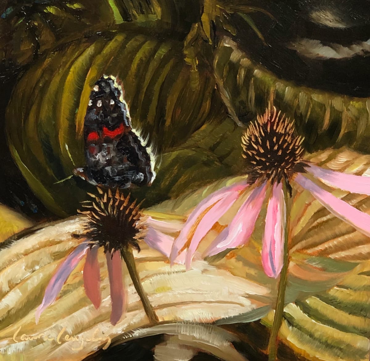 Admiral and the Coneflowers by Laura Lengeling 