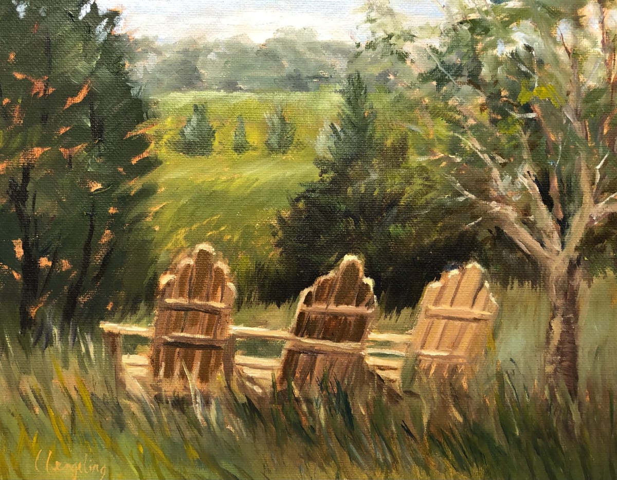 Adirondak Vista by Laura Lengeling 