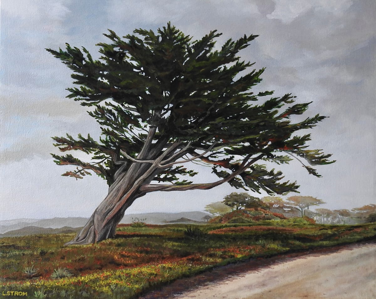 Windswept Cypress by Lori Strom 