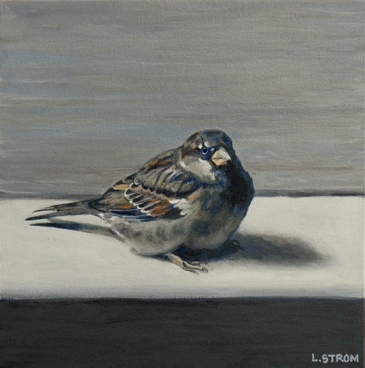 House Sparrow by Lori Strom 