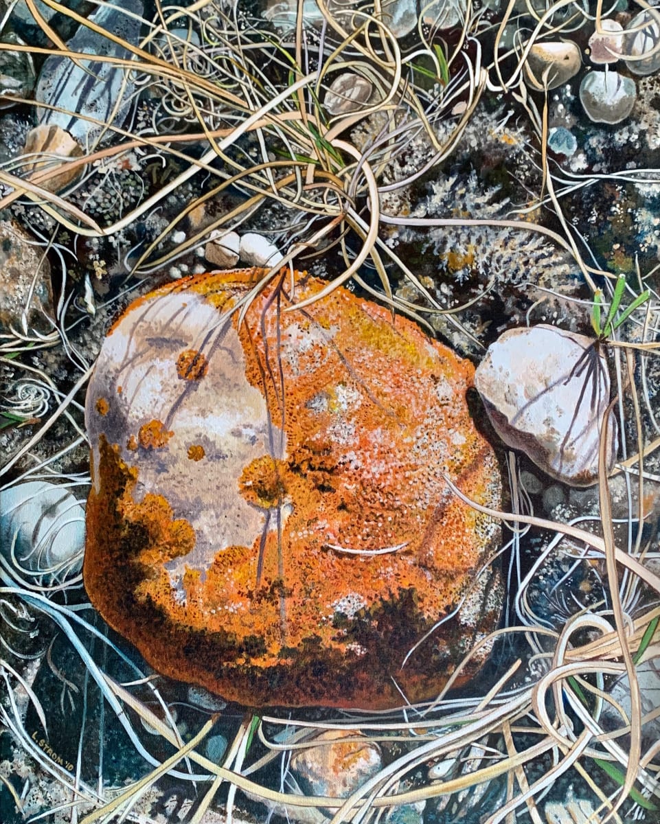 Coulee Rock by Lori Strom 