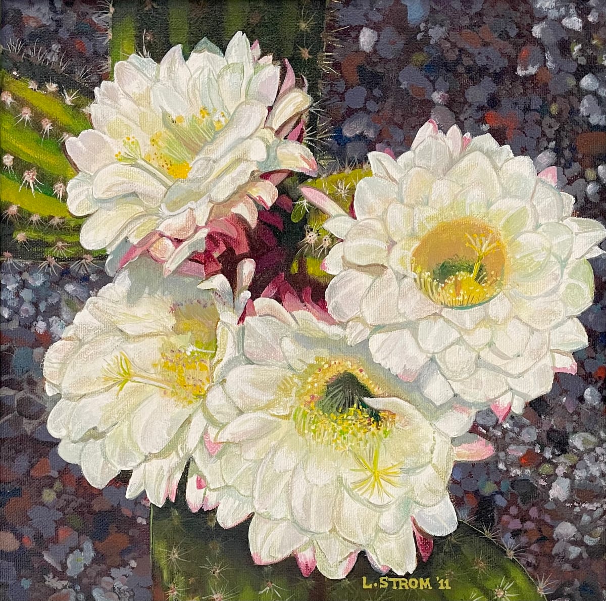Cactus Flowers by Lori Strom 