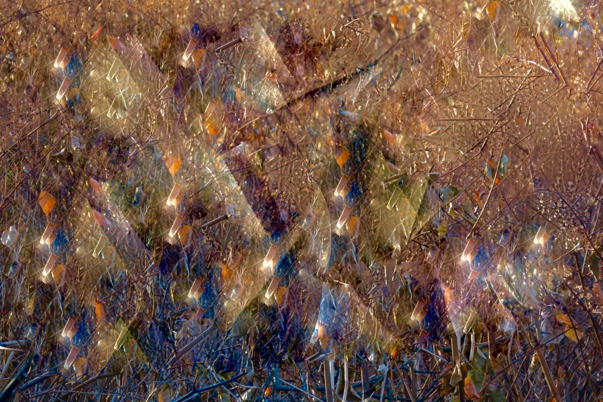 Additional Abstractions and Nature- by Alan Michel 