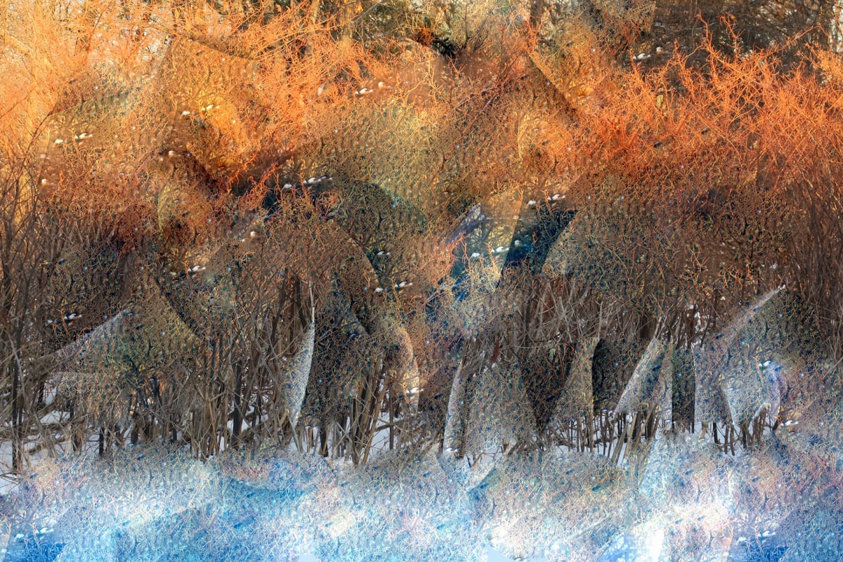 Color Field is one of several paintings in this series. by Alan Michel 