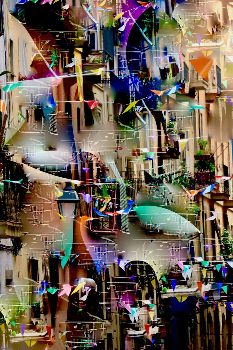 Flags and Facades by Alan Michel 