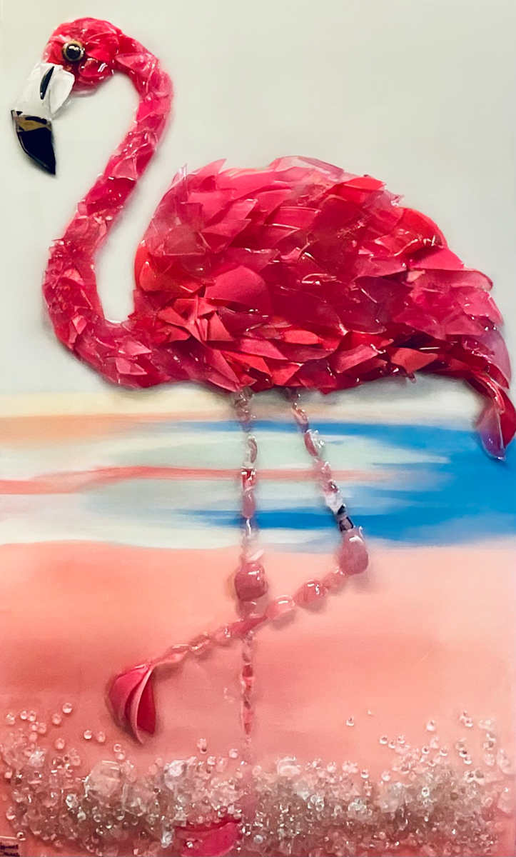 Sir Flaps-a-Lot by Janet Sams 