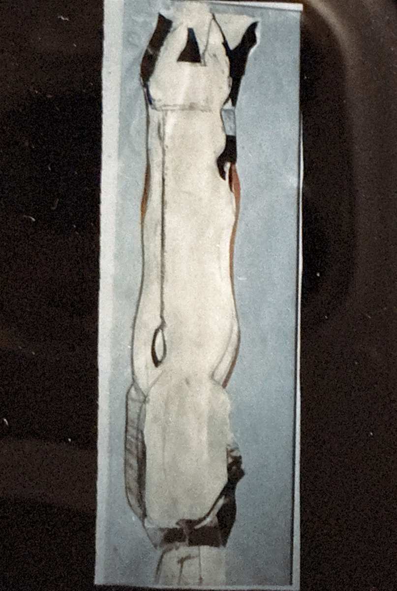 Single Canine by Vincent Castagnacci, Image 1.