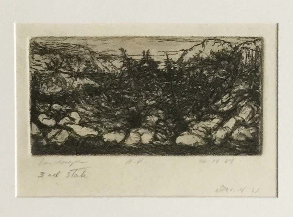 Landscape Artist Proof, Dec 14 by Vincent Castagnacci, Image 1.