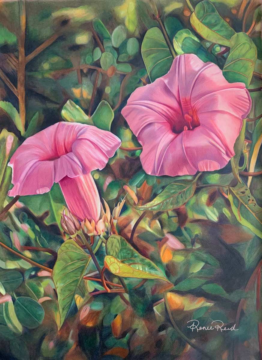 A Glorious Morning by Renee Reid 