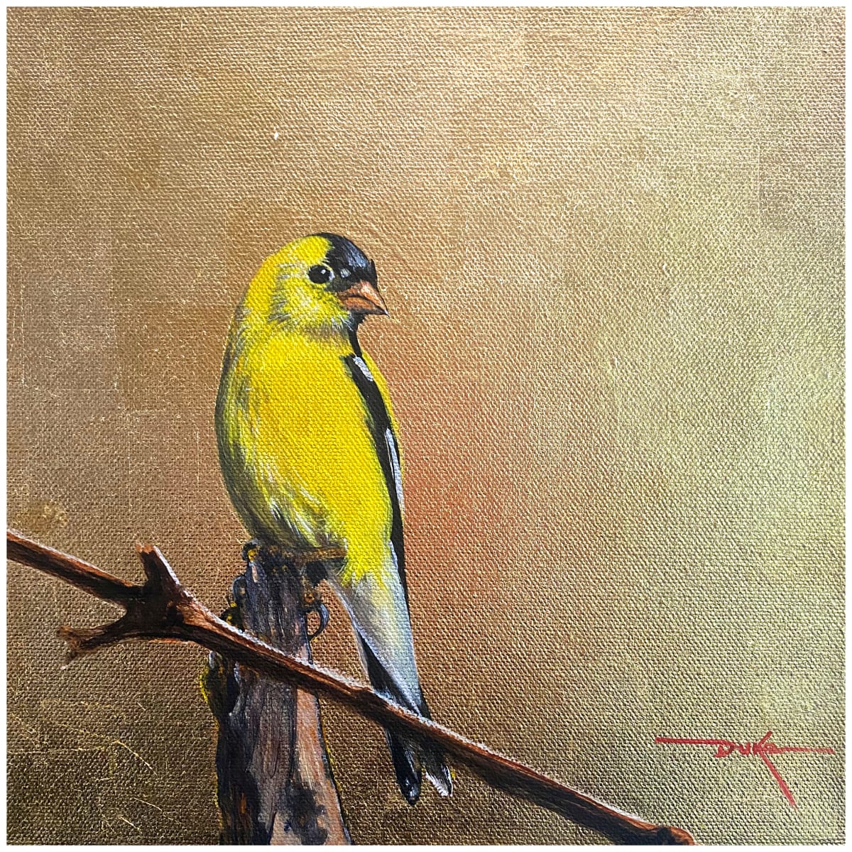 American Goldfinch by Duke Windsor  Image: An American Goldfinch hears a noise in the distance and keeps a watchful eye.