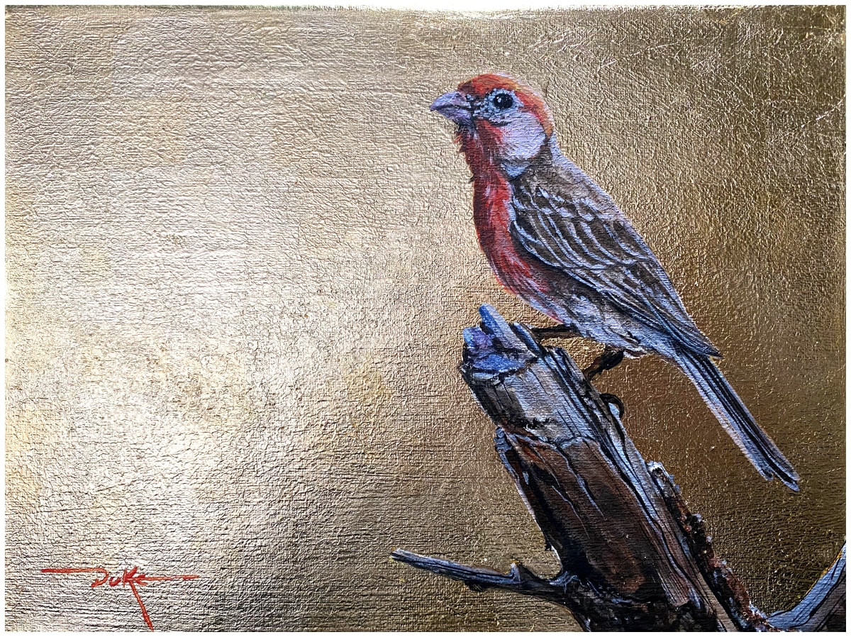 Spring Goldfinch by Duke Windsor 