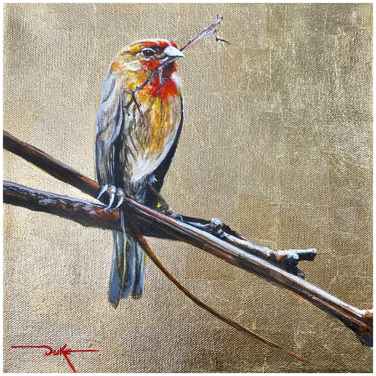 Springs Ahead by Duke Windsor  Image: Goldfinch pauses after collecting another addition to the new nest as spring approaches.