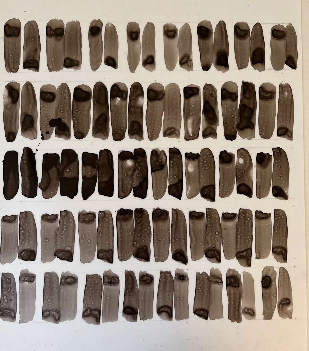40 Breaths by Tauna M Cole, Image 1.
