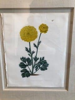 Plate 37 