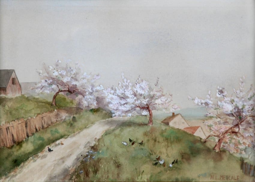 Untitled (flowering trees) 