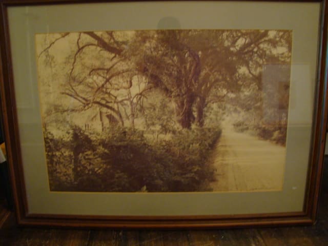 The Road Back by Donald Johnston 