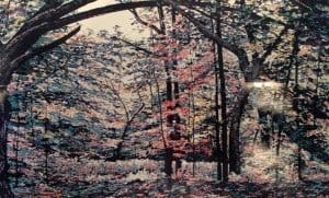 The Light Under the Boughs 