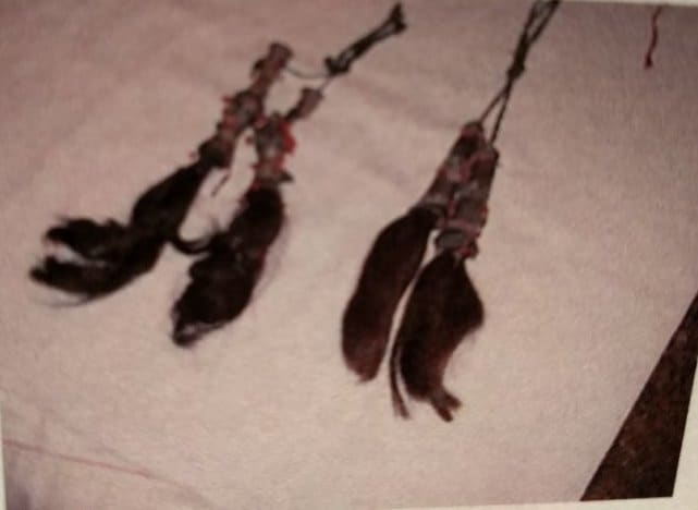 Hair Earrings 