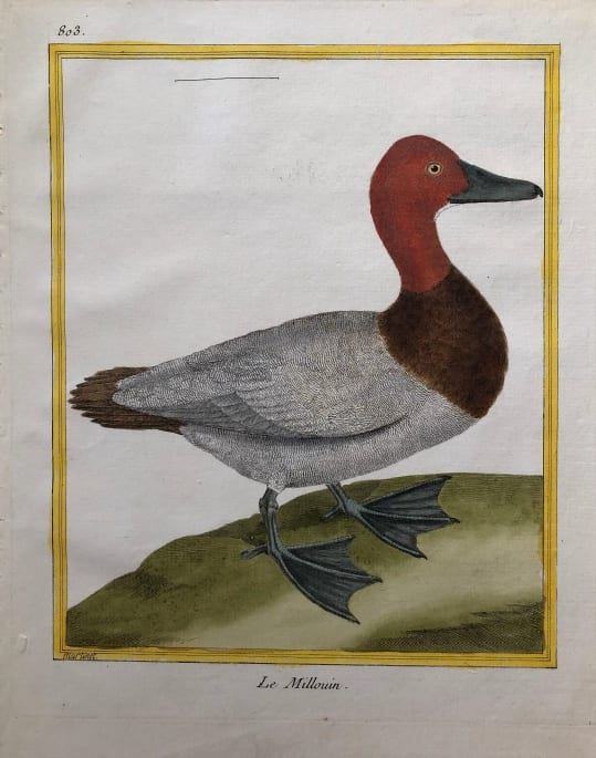 Le Millouin by Francois-Nicolas Martinet 
