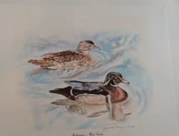 Relfections- Wood Ducks by Joyce Gagen 