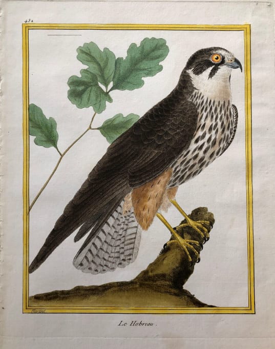 Le Hobreau by Francois-Nicolas Martinet 