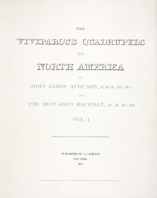 Title Page 