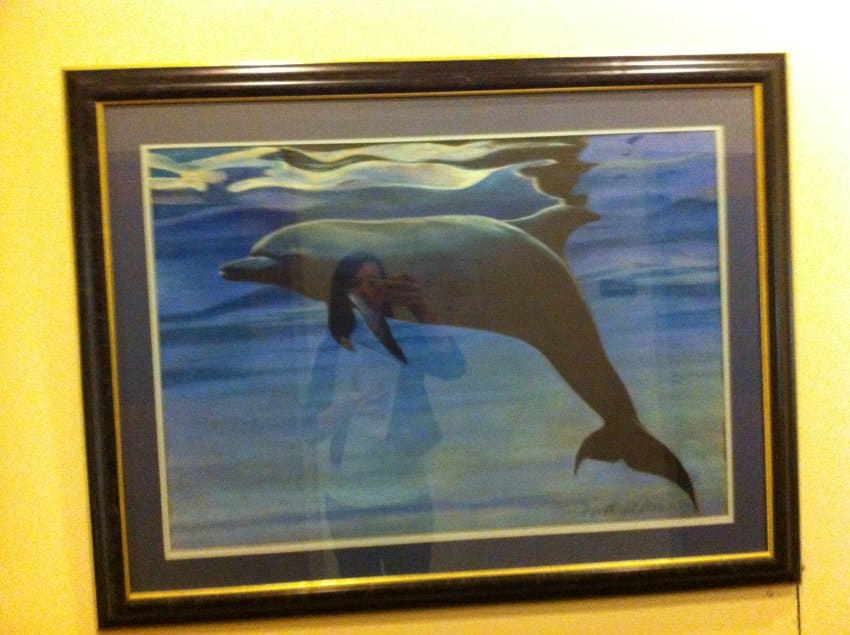Dolphin 