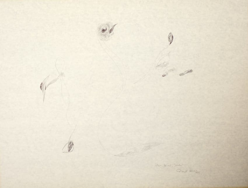 Fish, Bird, Snake by Daryl Trivieri 