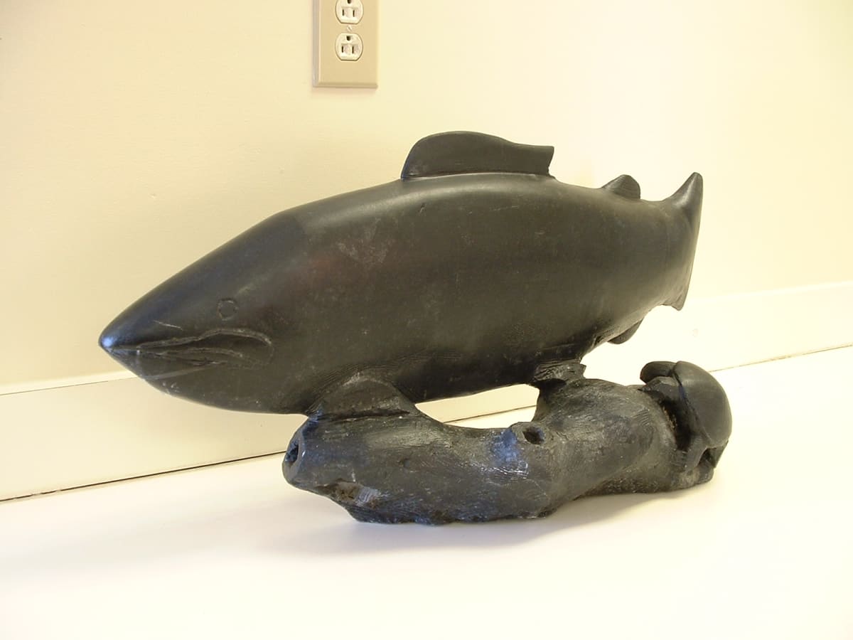 Fish with Turtle by Robert Jarrell 