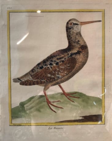 Le Beccasse by Francois-Nicolas Martinet 
