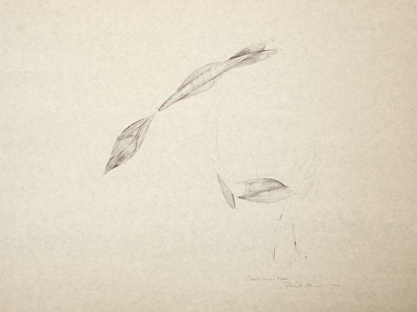 How Things Grow by Daryl Trivieri, Image 1.