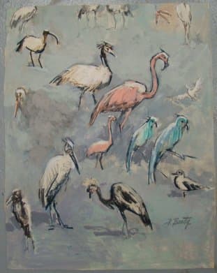 Birds by Frank Beatty 