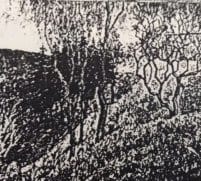Summer Landscape by Oskar Hauenstein 