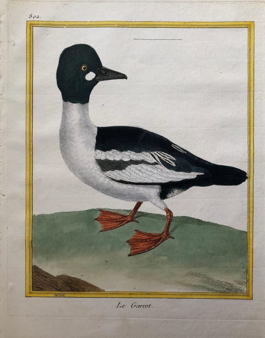 Le Garrot by Francois-Nicolas Martinet, Image 1.