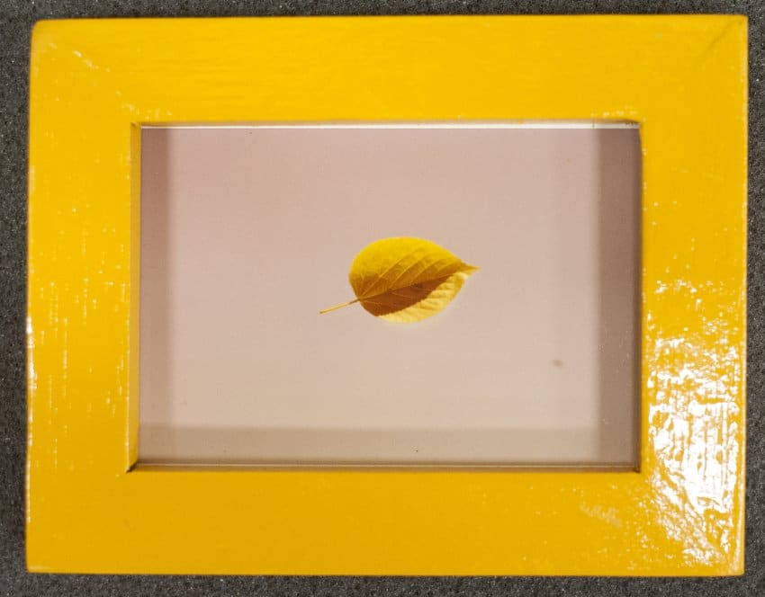 L'aime (383) by Dorothy Alexander 